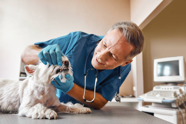 Best Emergency Root Canal Treatment in Rkville, PA